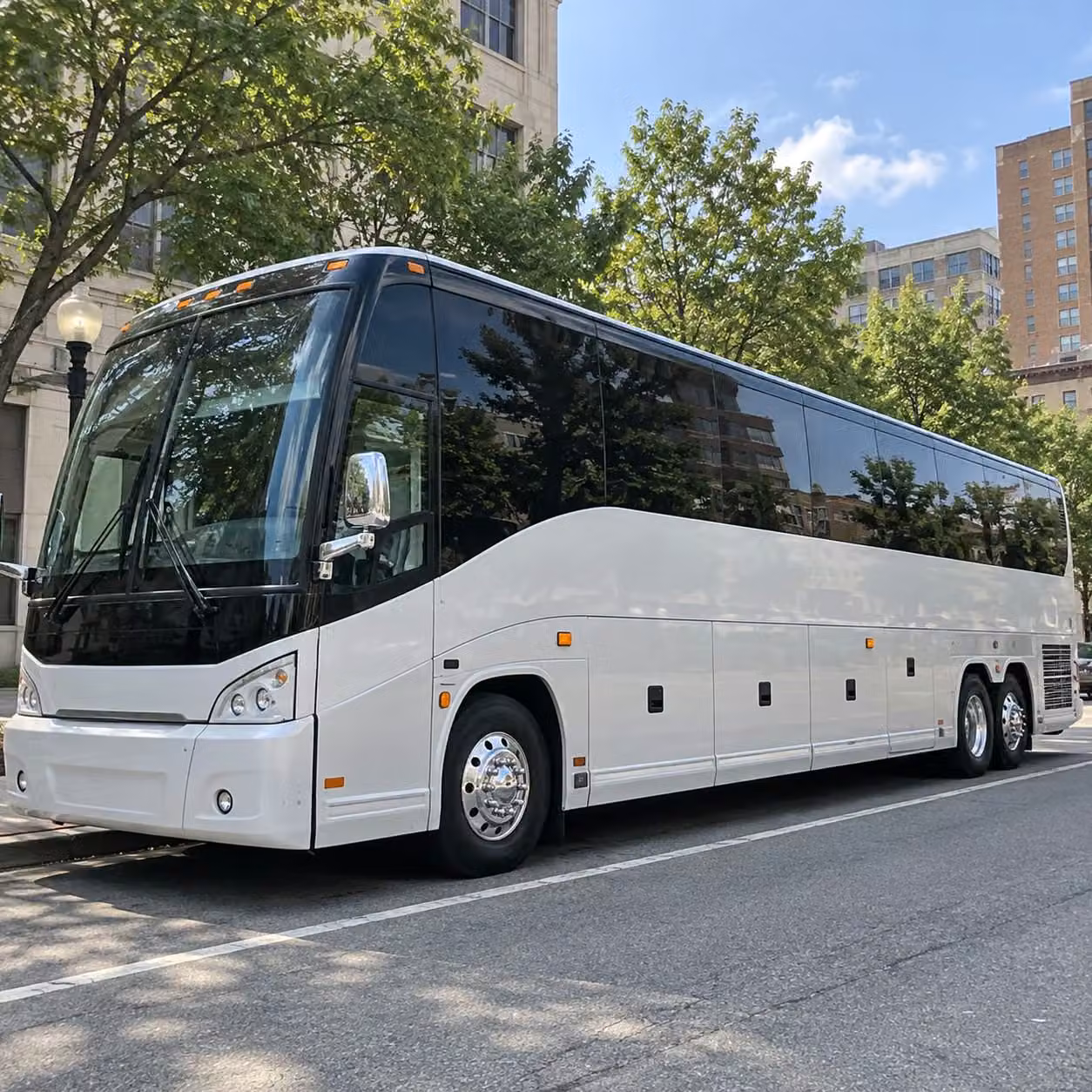 group fan transportation to sacramento kings and san francisco giants games